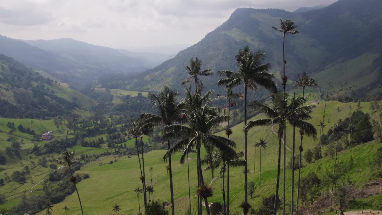 Salento y Valle de Cocora — Paisaje y territorio