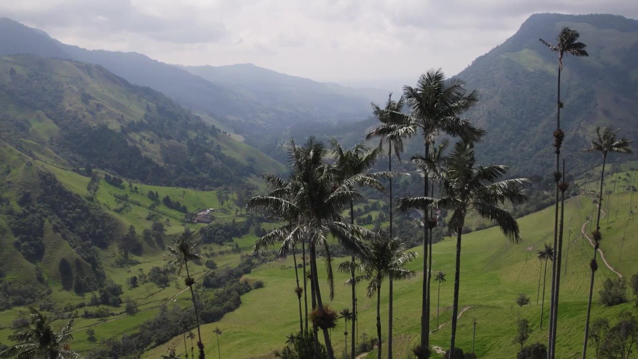 Salento y Valle de Cocora — Detalles que cuentan